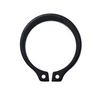 ERR2 2" External Retaining Ring, Series SH