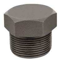 HHP2FT 2" NPT Hex Head Plug, Forged Steel, Threaded, 3000#