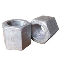 Hex High Nuts